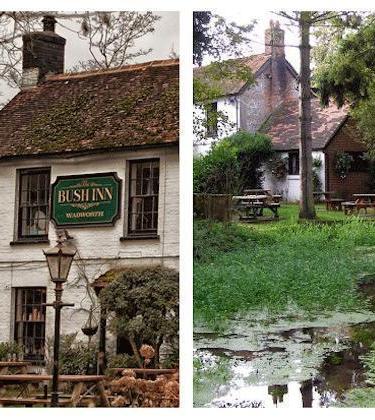 The Bush – The Best Country Pubs