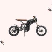 Truvor Carbon Fibre Electric Scrambler