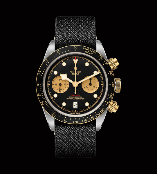 Tudor Black Bay S&G