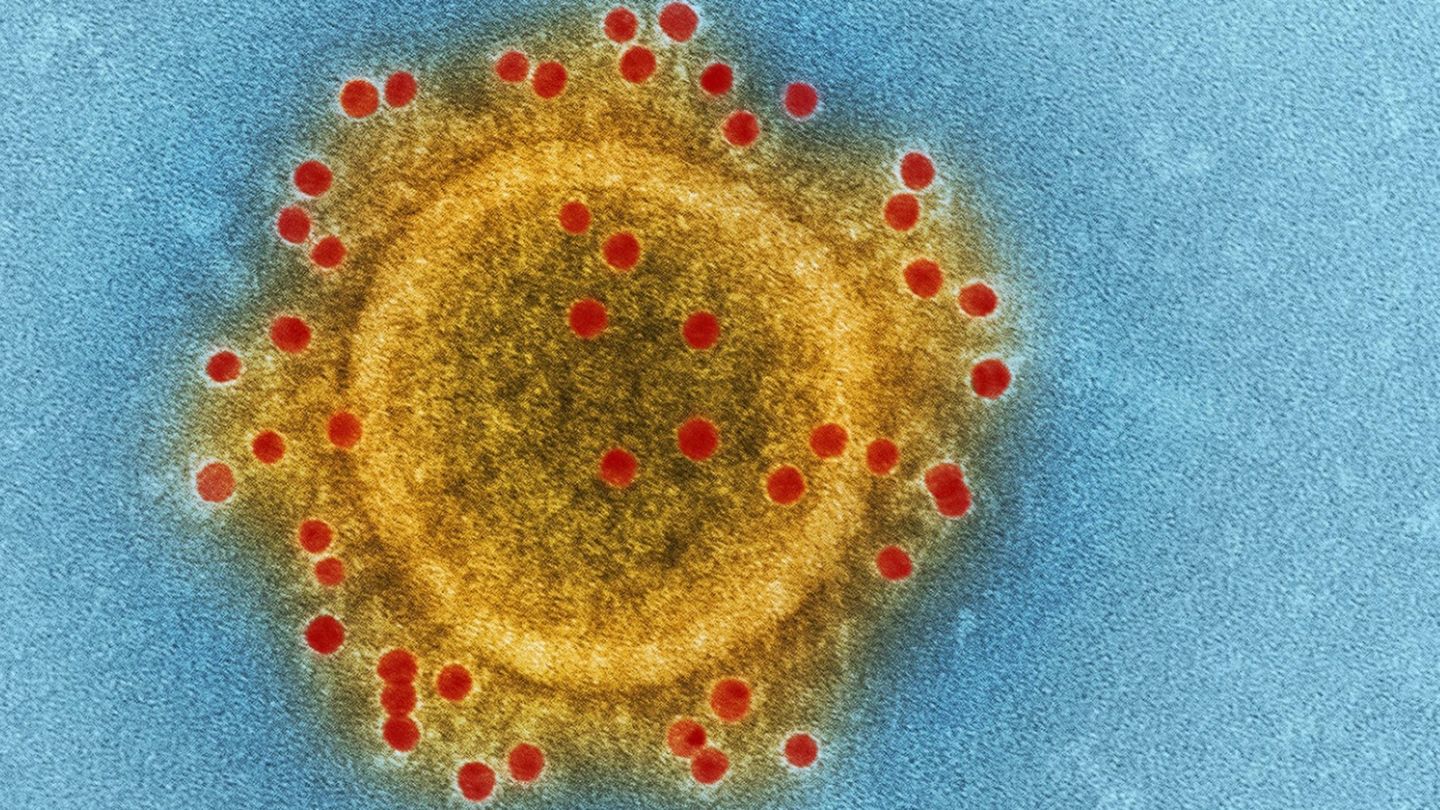 Coronavirus: Debunking the myths around Covid-19