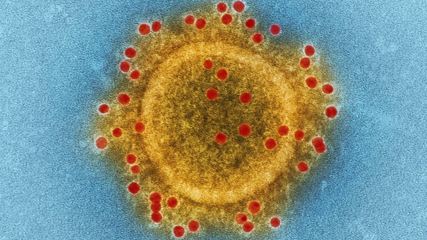 Coronavirus: Debunking the myths around Covid-19