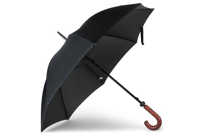 HuntsmanWalkingUmbrella