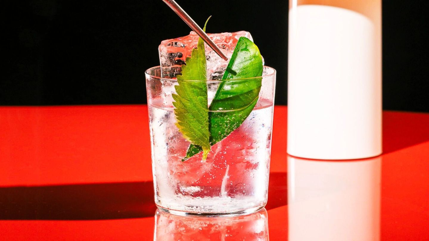 Cocktail of the Week: Seed Library’s ‘Perilla G&T’