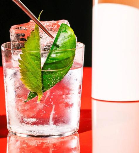 Cocktail of the Week: Seed Library’s ‘Perilla G&T’