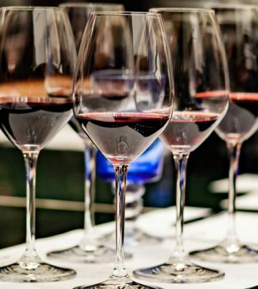 From Merlot to Chardonnay, these are the best wines of La Dame De Pique