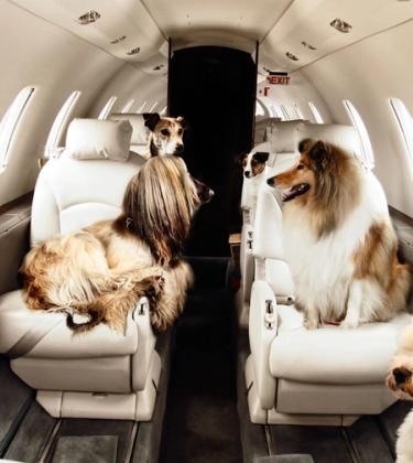 Victor reveal their most extraordinary private jet requests