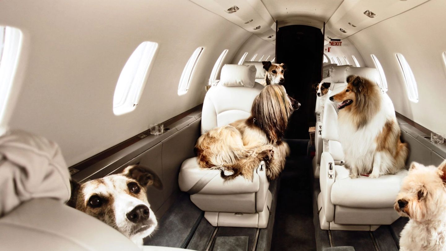 Victor reveal their most extraordinary private jet requests