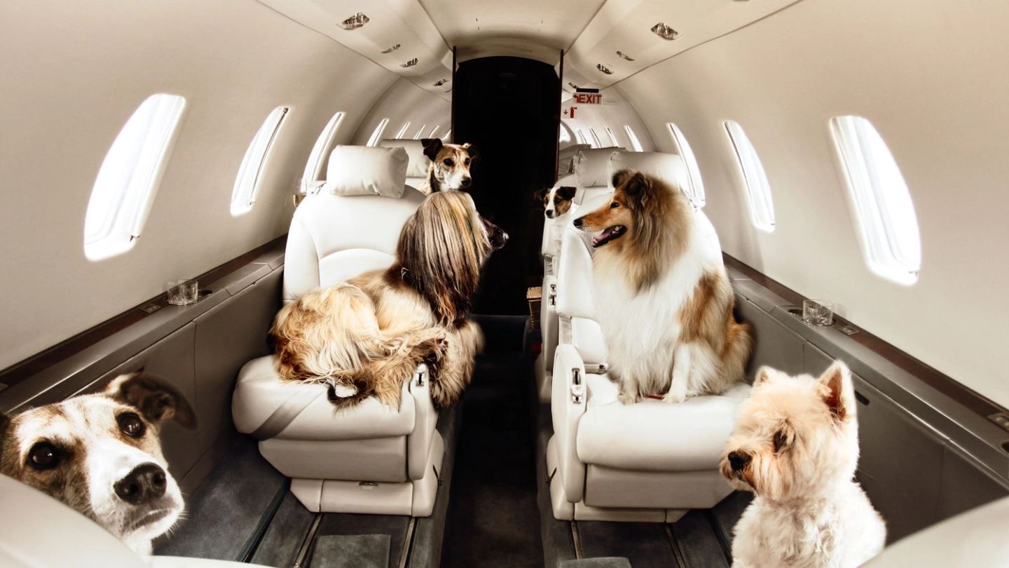 Victor reveal their most extraordinary private jet requests