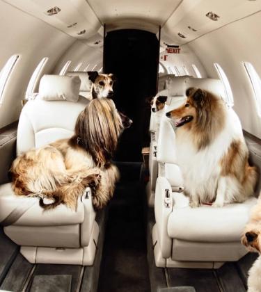Victor reveal their most extraordinary private jet requests