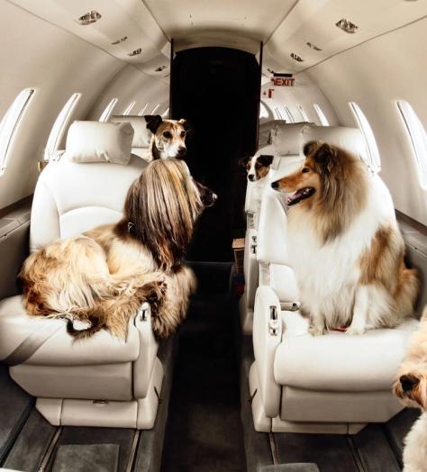 Victor reveal their most extraordinary private jet requests