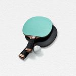 Tiffany Leather and Walnut Table Tennis Paddles