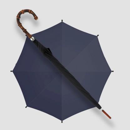 James Smith & Sons Whangee Cane Crook