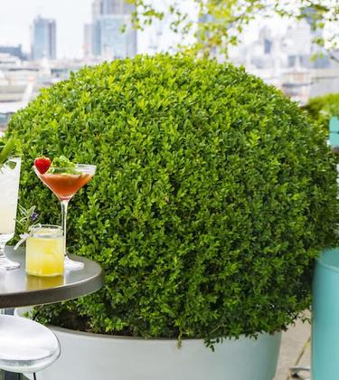 The London hot spots every gentleman needs to try this summer