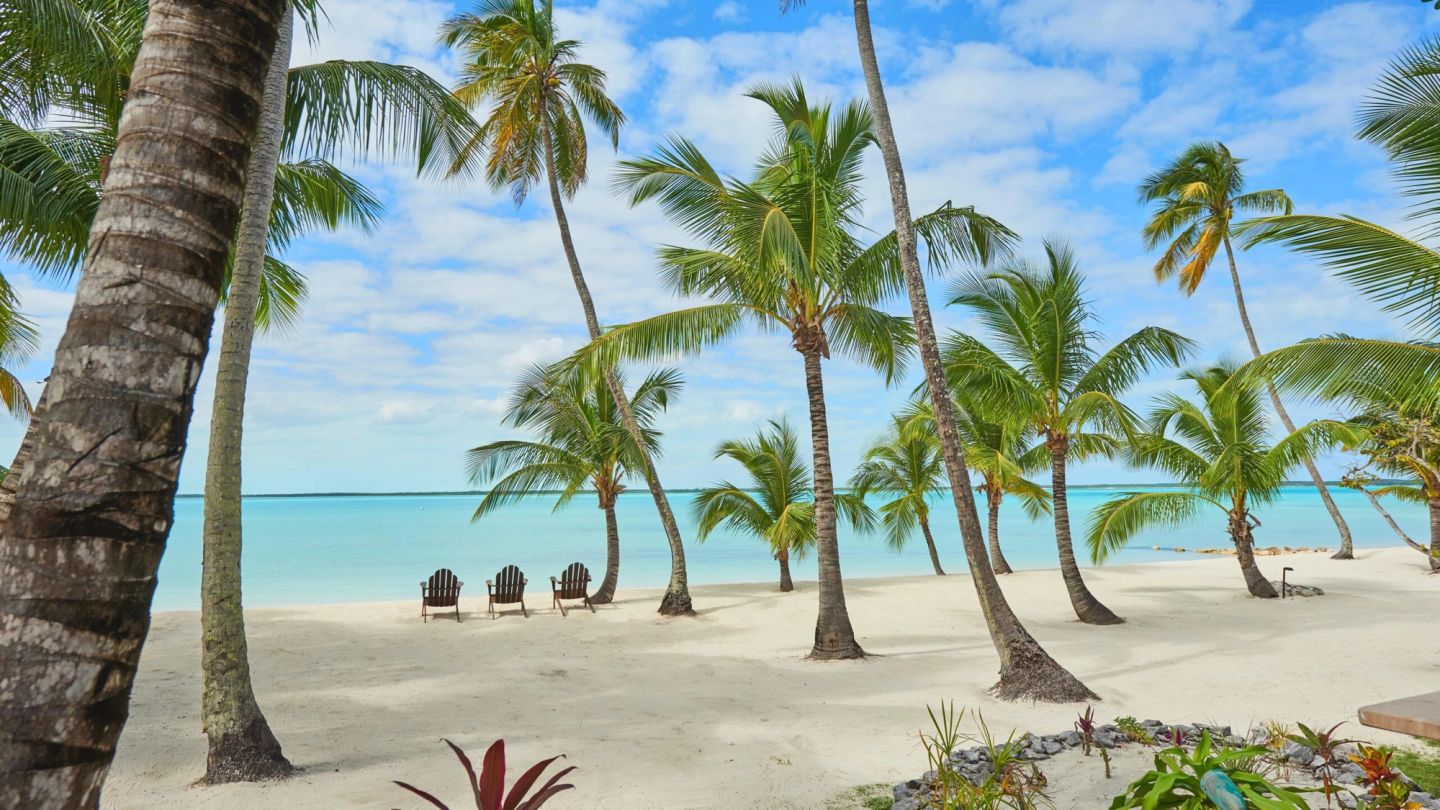 The best destinations for January sun