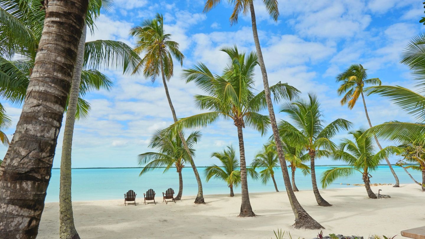The best destinations for January sun