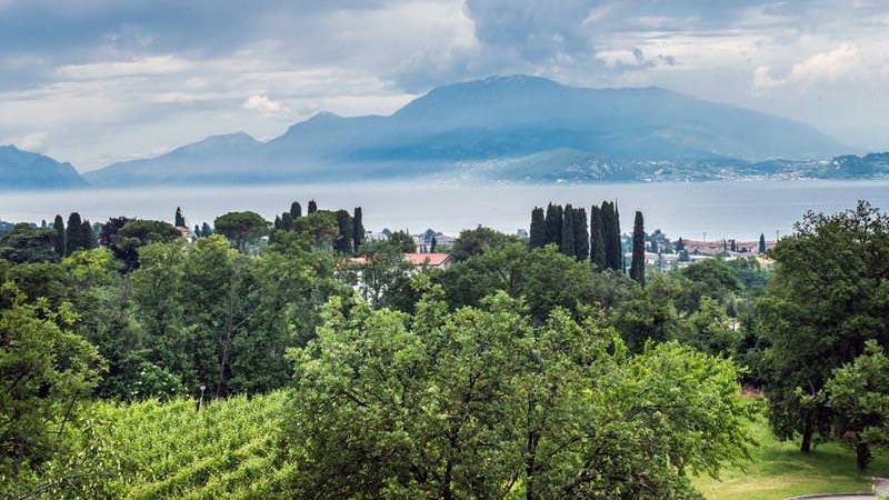 5 of the best vineyards on the market