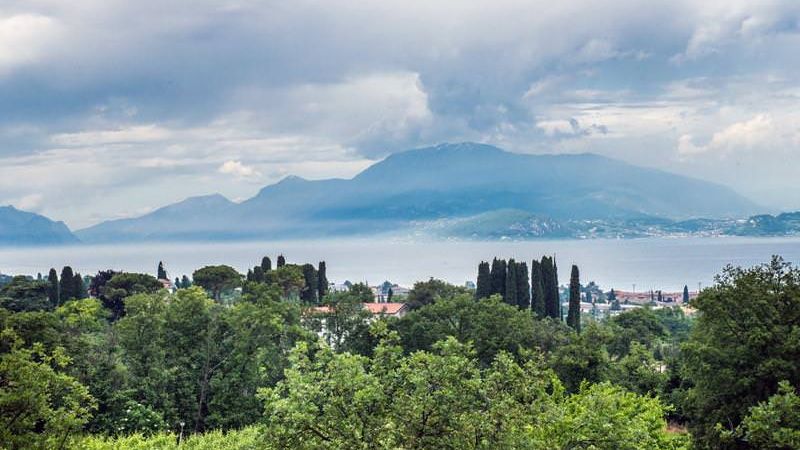 5 of the best vineyards on the market