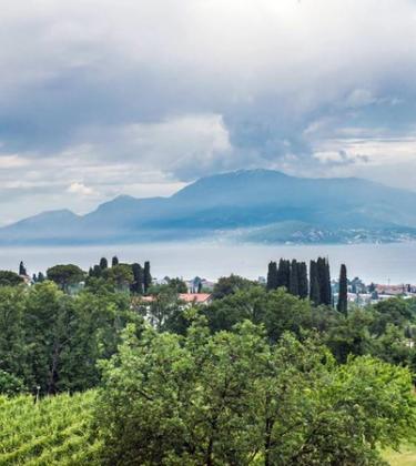 5 of the best vineyards on the market