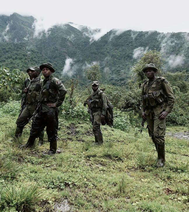 levison wood encounters