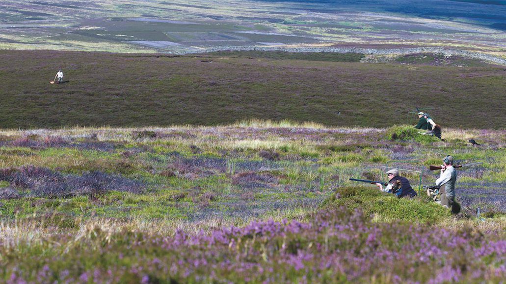 10 of Britain’s best grouse moors