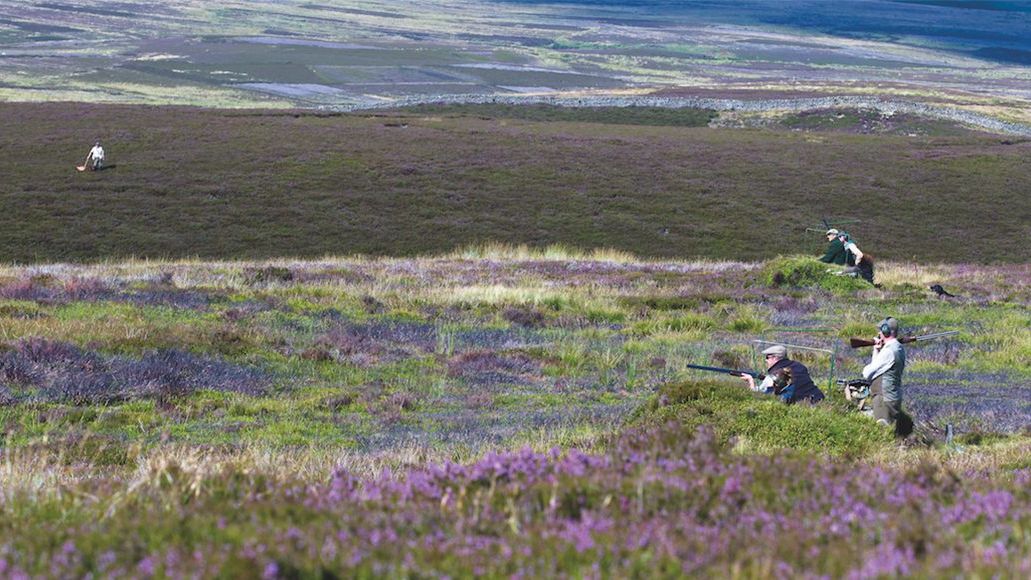 10 of Britain’s best grouse moors