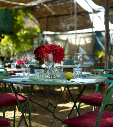 The Place To Take Her – Petersham Nurseries Café