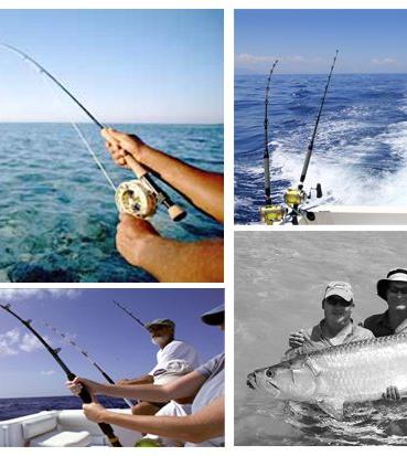 Why be a Fishing Purist when you can join ‘The Tarpon Club’