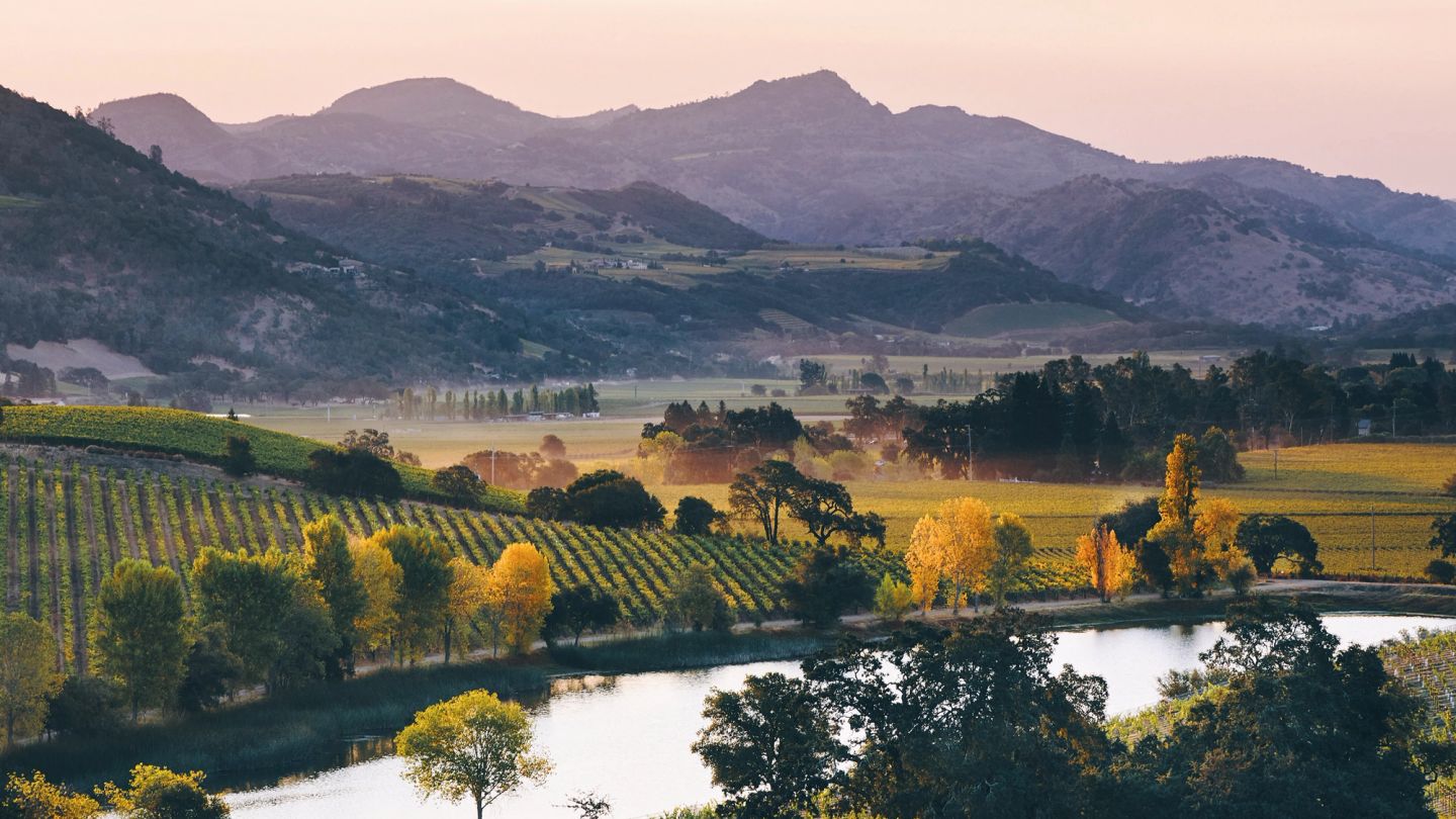 Go west: Why US wines are taking the world by storm