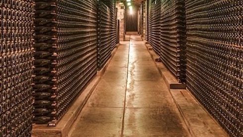 The Pinot Noirs that every gentleman should buy this summer