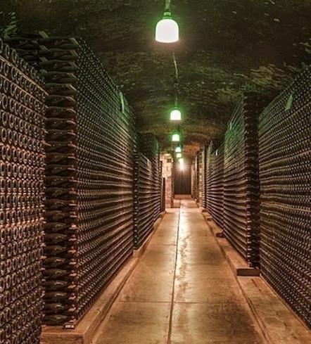 The Pinot Noirs that every gentleman should buy this summer