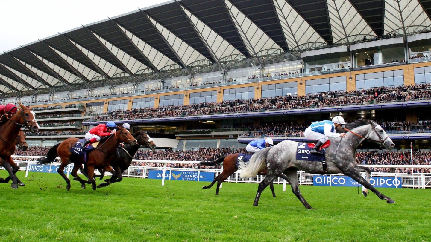Why QIPCO British Champions Day is the most exciting event of the racing season