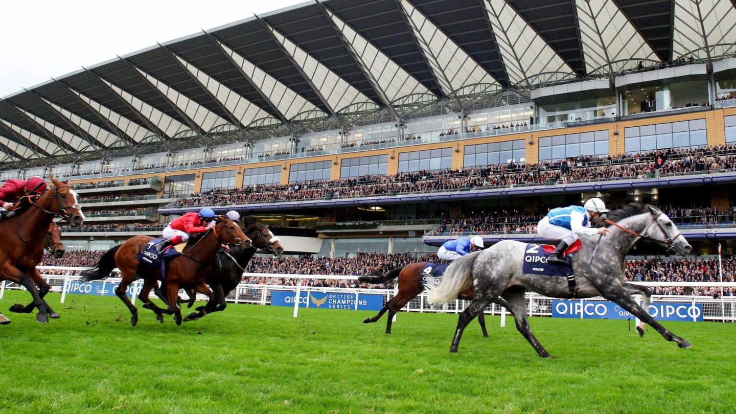 Why QIPCO British Champions Day is the most exciting event of the racing season