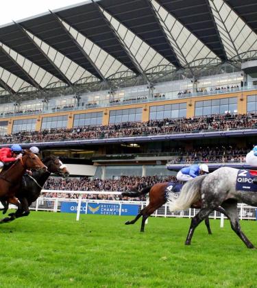 Why QIPCO British Champions Day is the most exciting event of the racing season