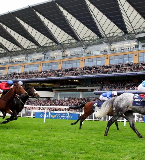 Why QIPCO British Champions Day is the most exciting event of the racing season