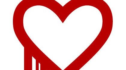 The Heartbleed Bug: The Passwords You need to Change