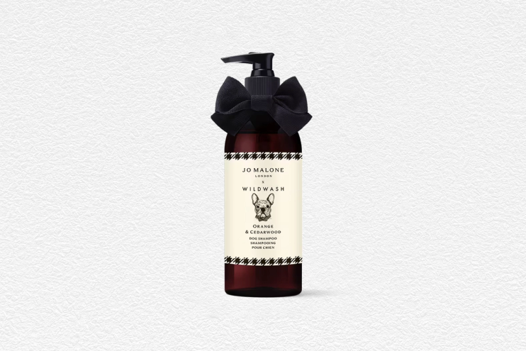 Orange & Cedarwood Dog Shampoo - WildWash Edition
