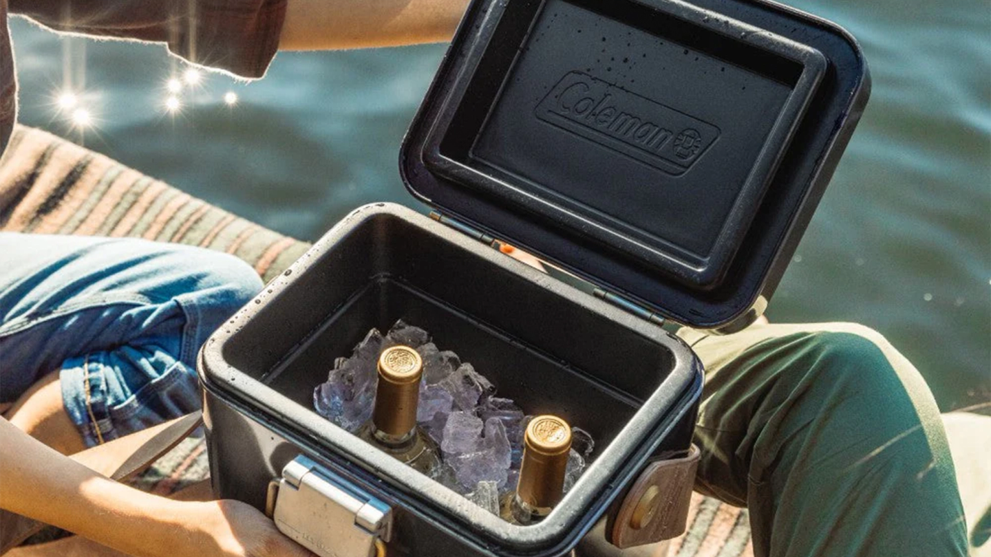 The best cool boxes for summer 2024