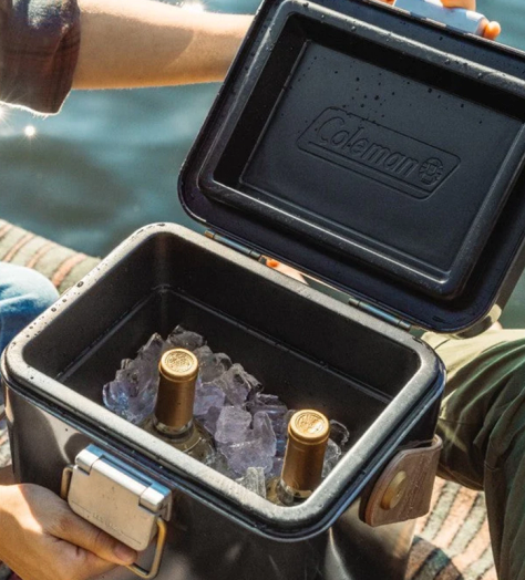 The best cool boxes for summer 2024