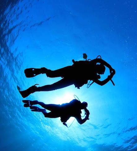 10 jobs that are so much better than what you did today