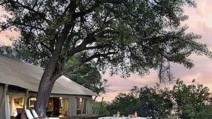 The exclusive safari holidays every gentleman needs to take