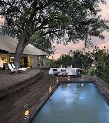 The exclusive safari holidays every gentleman needs to take