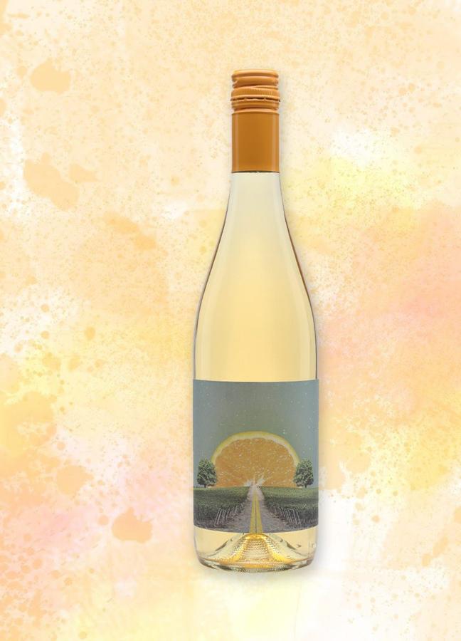 Solara Viile Timisului