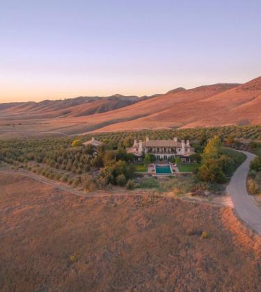 Grape expectations: These are the best properties with vineyards