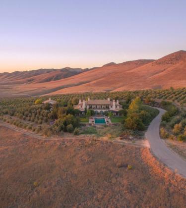 Grape expectations: These are the best properties with vineyards