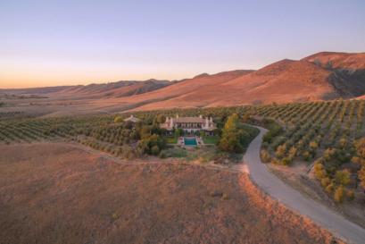 Grape expectations: These are the best properties with vineyards