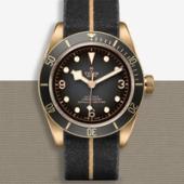 Tudor Black Bay Bronze