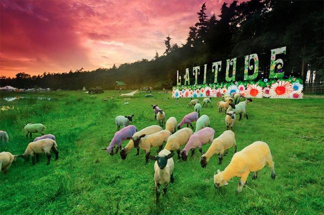 latitude-festival-dyed-painted-sheep