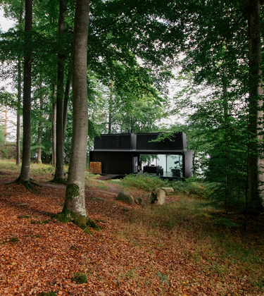 In the Swedish woodland, a bin maker creates an island of escape