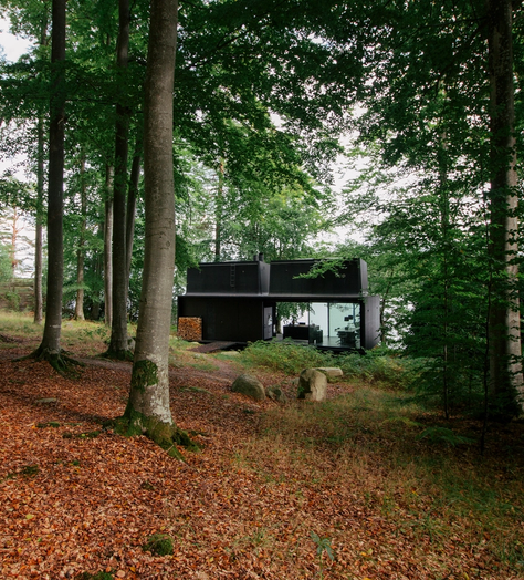 In the Swedish woodland, a bin maker creates an island of escape