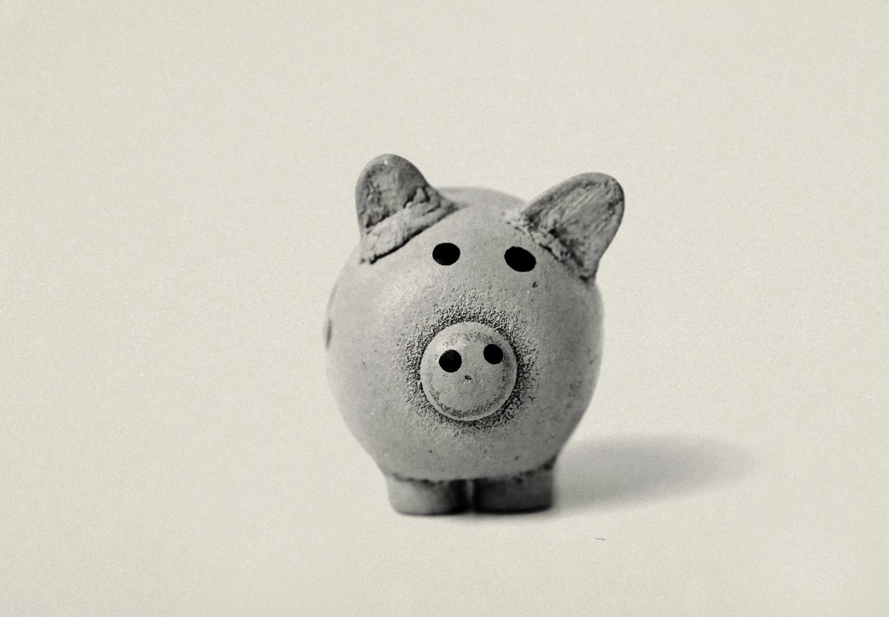 piggy bank